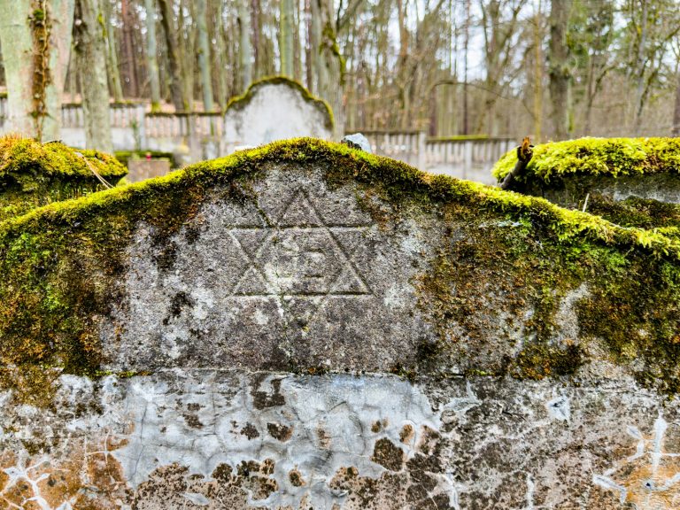 a close up of a stone with moss growing on it